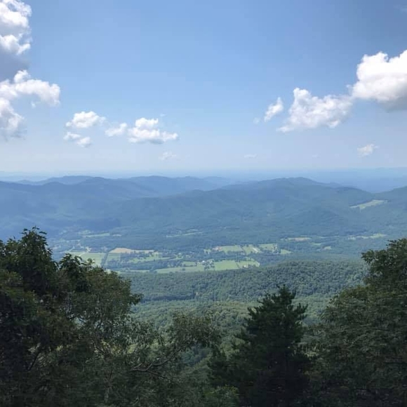 Meet your Posher, Curtis - Picture 1 of 1